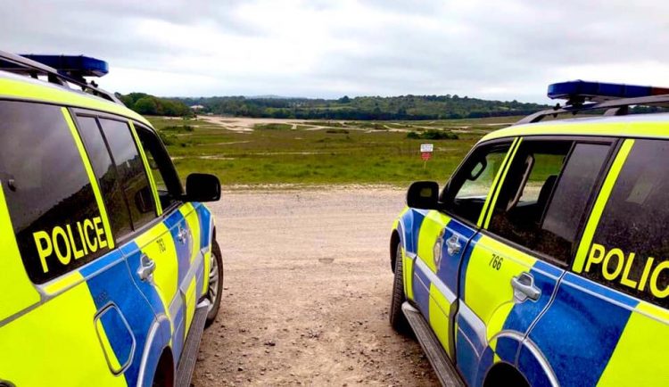 Stern warning issued after dog killed and walker injured in collisions