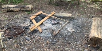 Museum “extremely disappointed” by group who destroyed garden items