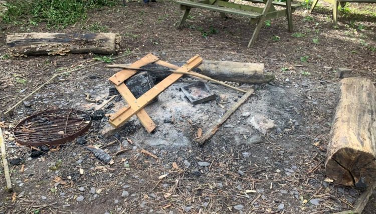 Museum “extremely disappointed” by group who destroyed garden items