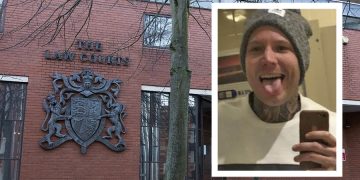 Serial domestic abuser admits seriously assaulting new partner and her child