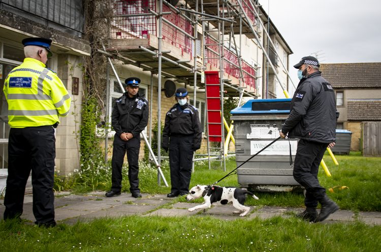 Police dog brought in to search for drugs after raid on Corsham flat