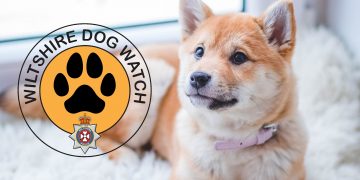 Wiltshire Police launches ‘Dog Watch’ over increasing concerns about dog thefts