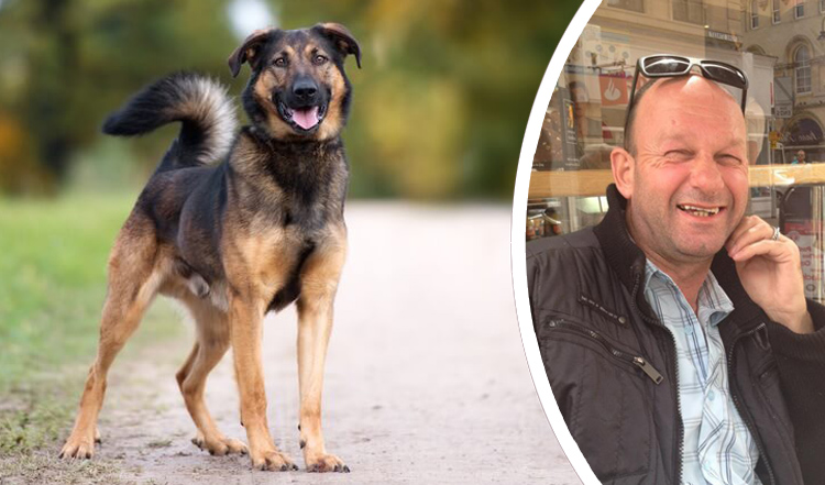 Court orders destruction of blind man’s dog after second attack in Trowbridge