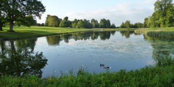 Stranger saves boy, 4, from drowning in Lydiard lake – his mother was oblivious