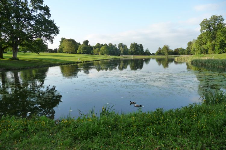 Stranger saves boy, 4, from drowning in Lydiard lake – his mother was oblivious