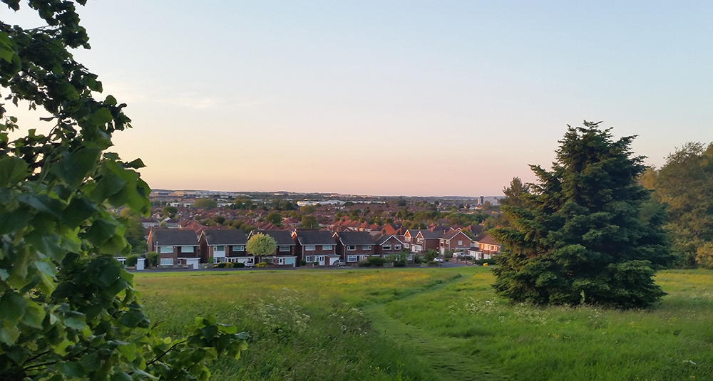 Man accused of sexually assaulting dog walkers at Swindon park faces trial