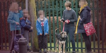 Dog to be destroyed after FOUR people injured in 40-minute park ordeal