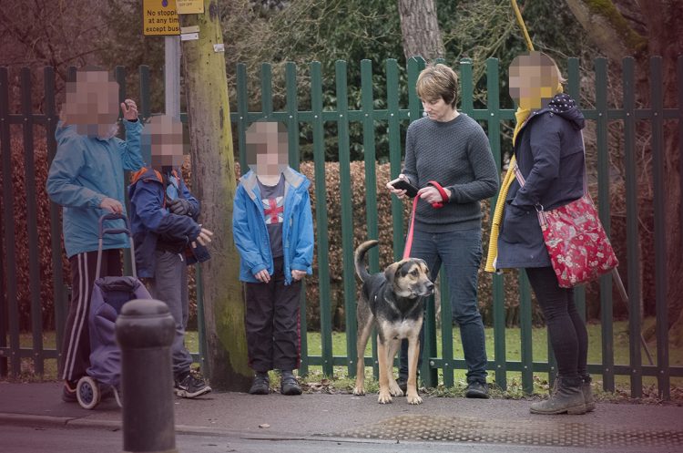 Dog to be destroyed after FOUR people injured in 40-minute park ordeal