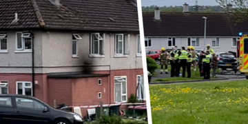Firefighters rescue eight cats whilst extinguishing serious flat blaze in Swindon