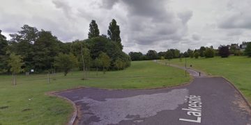 Lawn Woods attack: Woman sexually assaulted by man who wanted cuddle