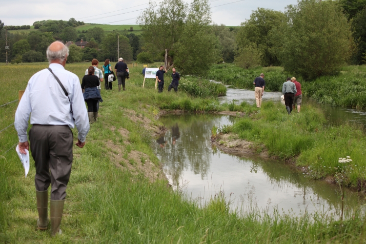 Volunteer water guardians wanted to help patrol Wiltshire rivers