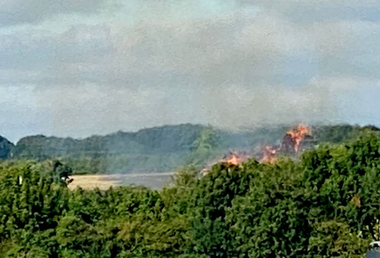 Tonnes of baled straw ablaze near Marlborough sparks fire service response