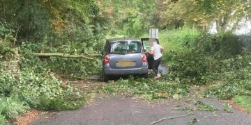 Country road blocked after car collides with fallen tree near Colerne