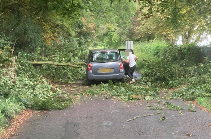 Country road blocked after car collides with fallen tree near Colerne