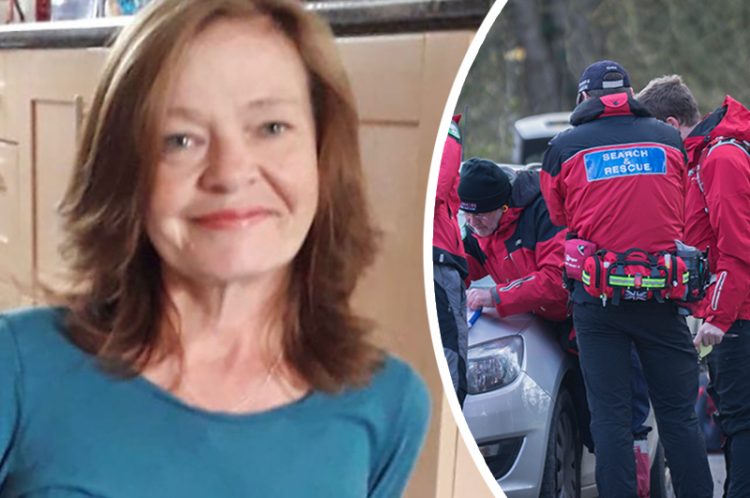 Search for Wiltshire woman missing without vital medication continues into day three