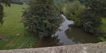 Fire service animal officer deployed after reports of cow stuck in River Avon