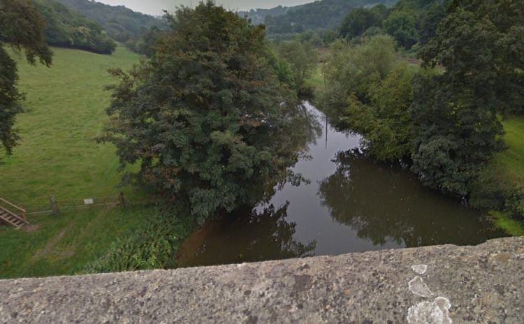 Fire service animal officer deployed after reports of cow stuck in River Avon