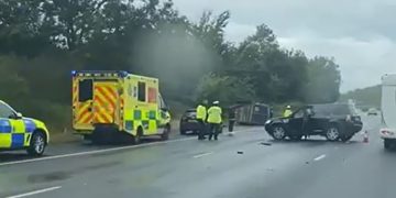 Horse appears uninjured in multi-vehicle collision on the M4 near Swindon