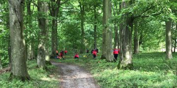 Wiltshire Search and Rescue spotted in Longleat Forest as part of training exercise