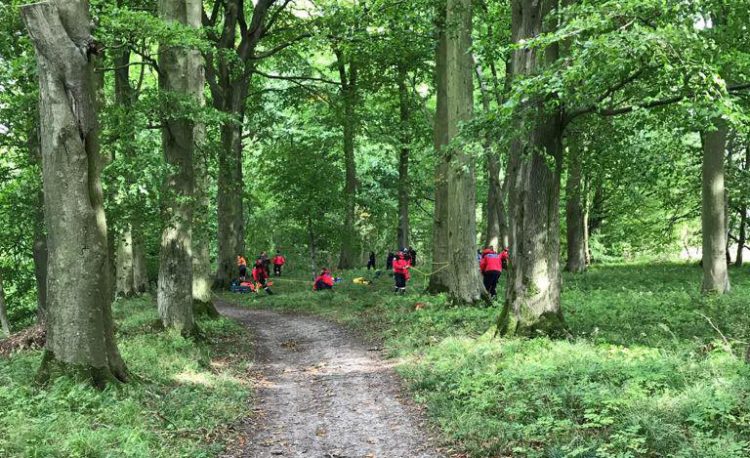 Wiltshire Search and Rescue spotted in Longleat Forest as part of training exercise