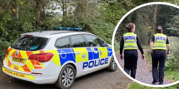 Man seen ‘jumping garden fences’ as police give chase through Chippenham