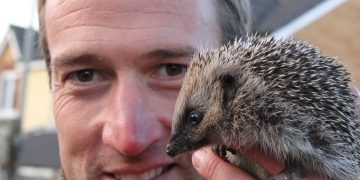 Sleeping hedgehogs: TV star Ben Fogle issues desperate plea ahead of Bonfire Night