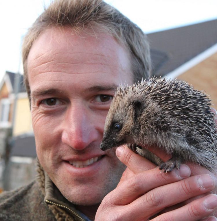 Sleeping hedgehogs: TV star Ben Fogle issues desperate plea ahead of Bonfire Night