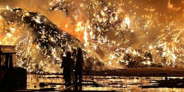 Flames engulf Wiltshire recycling centre with dozens of firefighters on scene