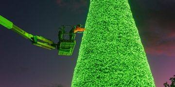 Longleat staff scale new heights decorating twenty-metre-tall singing Christmas tree