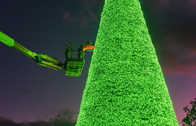 Longleat staff scale new heights decorating twenty-metre-tall singing Christmas tree