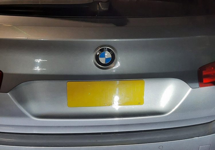 Driver stopped by police with blank registration blames MONKEYS at Longleat