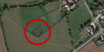 Culling underway as bird flu outbreak confirmed on premises near Swindon