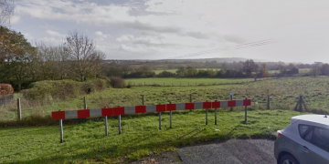 Dog has ‘flesh reattached’ after savage attack by another dog in Chippenham fields