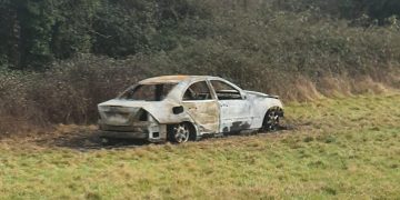Mercedes set on fire in Chippenham field as two suspects spotted fleeing the scene