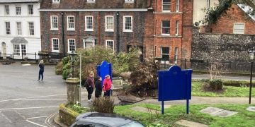 Storm Eunice: Road blocked as old tree falls in Marlborough – bringing down street lamp