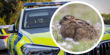 Lights used in attempt to blind officers in high-speed pursuit of suspected hare coursers