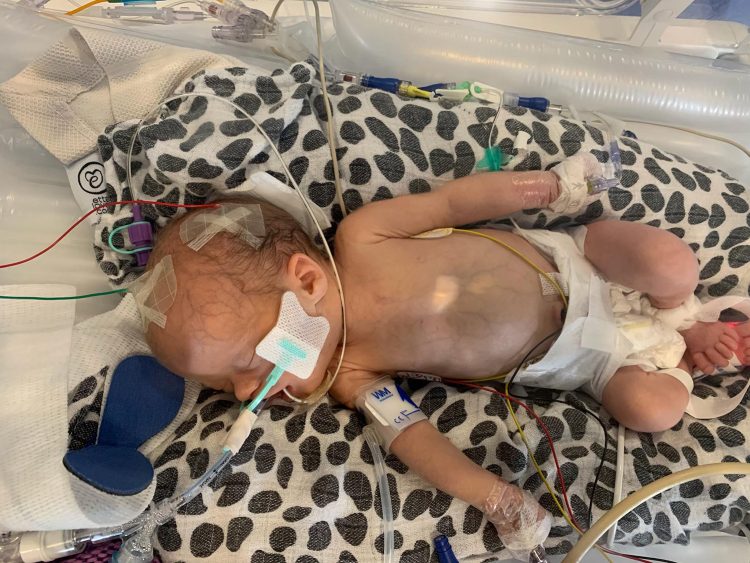Wiltshire mum lost baby after contracting Covid-19 – fundraiser launched to pay for headstone