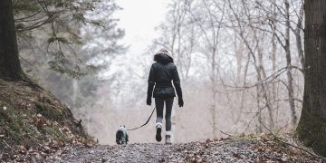 Walkers bitten and chased by dogs in separate attacks in woods near Warminster