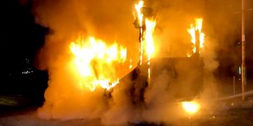Firefighters save The Crammer wildlife after Luton van is engulfed in flames on A361