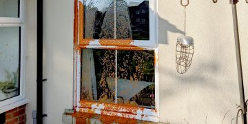 Wiltshire Police launch investigation after house splashed with soup in Calne