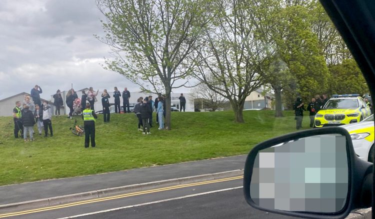 Armed police surround youths in Swindon as pair arrested for firearms offence