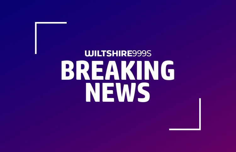 Woman and child reportedly injured in Good Friday ‘dog attack’ in Swindon