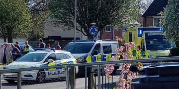 Penhill dog attack: ‘American Bully’ seized by police after woman and child injured