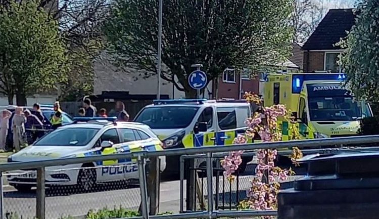 Penhill dog attack: ‘American Bully’ seized by police after woman and child injured