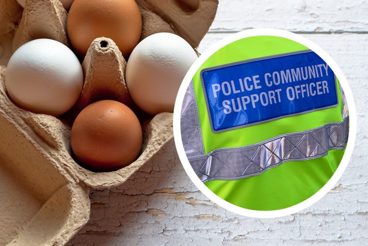 Elderly woman “terrorised” by loud bangs as youths pelt homes with eggs in Calne