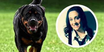Pets at Home manager’s rottweiler ripped flesh off woman’s arm in Swindon attack