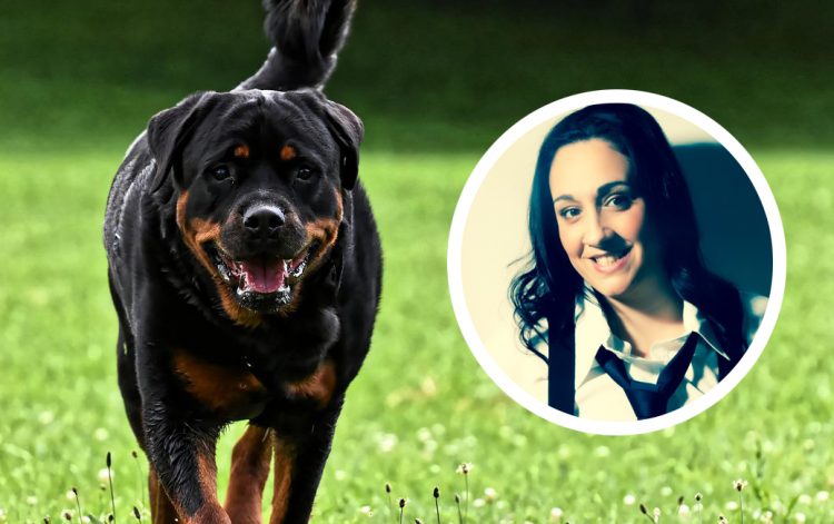 Pets at Home manager’s rottweiler ripped flesh off woman’s arm in Swindon attack