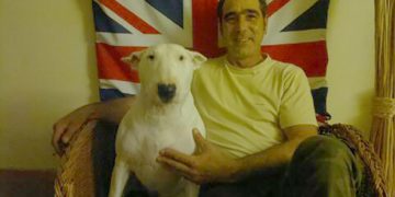 Highworth man’s dog mauled another dog to death while he was ‘distracted by poo’