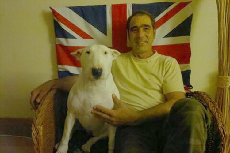 Highworth man’s dog mauled another dog to death while he was ‘distracted by poo’