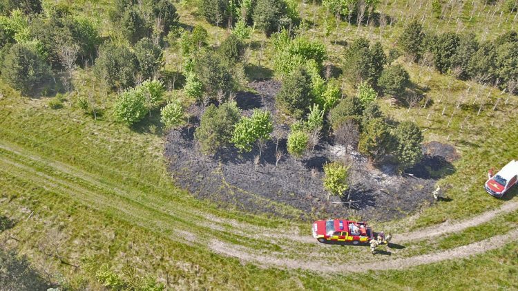 Military stop ‘rapidly spreading blaze’ caused by illegal campers on Salisbury Plain